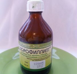 Chlorophyllipt