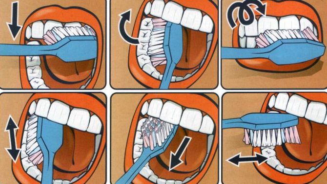 Infographie comment se brosser les dents de bébé