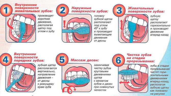 Infographie comment se brosser les dents.