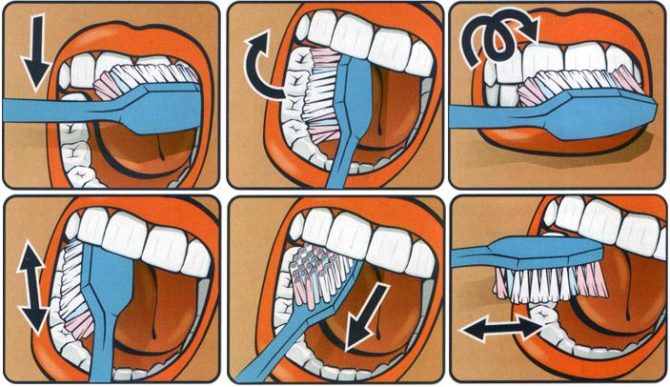 Infographie comment se brosser les dents.