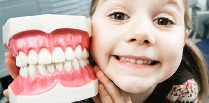 Le nombre de dents de lait chez un enfant