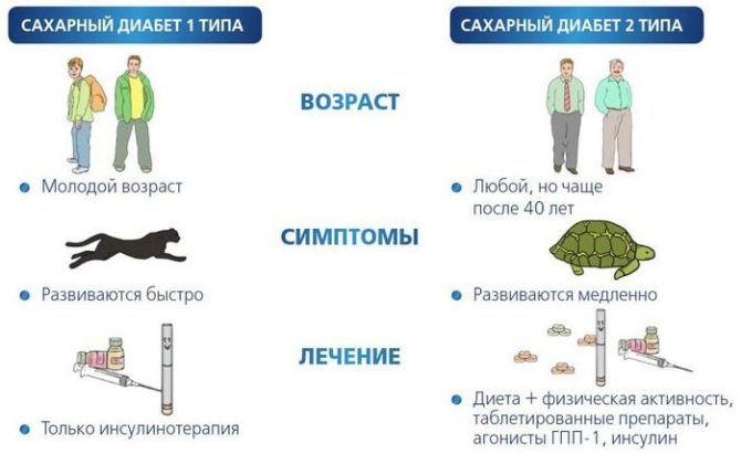 Léčba diabetes mellitus typu 1 a 2