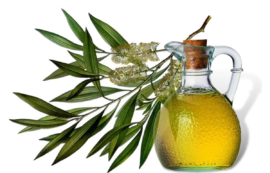 Tea Tree Oil