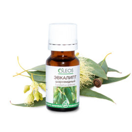 Eucalyptus oil