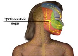 Ang lokasyon ng trigeminal nerve