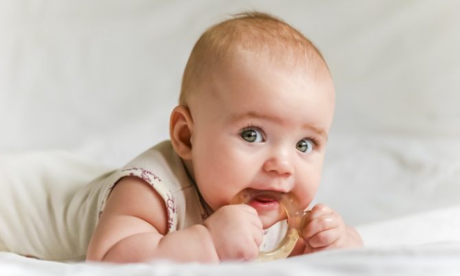 Les dents sont coupées