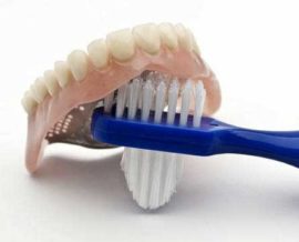 Denture brush