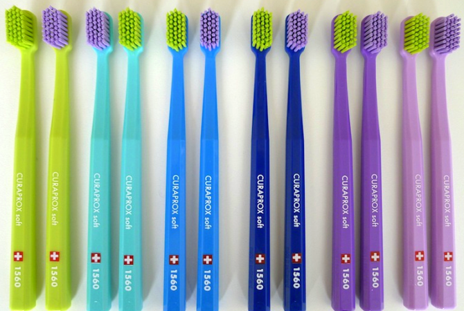 Brosses 1560 