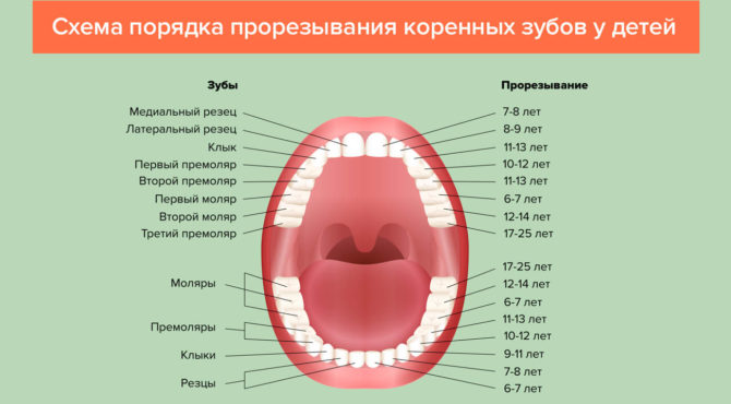 Pattern ng teething