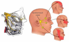 Diagram ng nerbiyos ng trigeminal