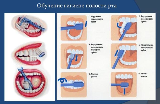 Comment se brosser les dents